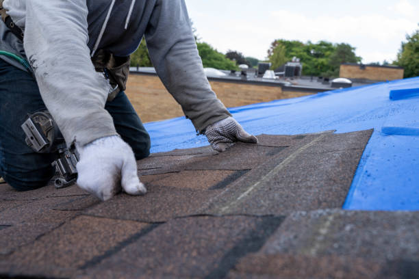 Best Flat Roof Repair Services  in Gilbert, MN