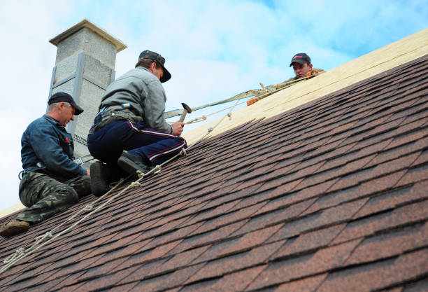 Best Roof Gutter Cleaning  in Gilbert, MN